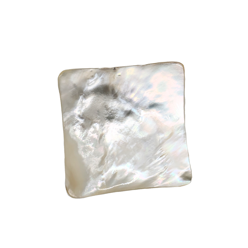 白蝶貝のテーブルウエア