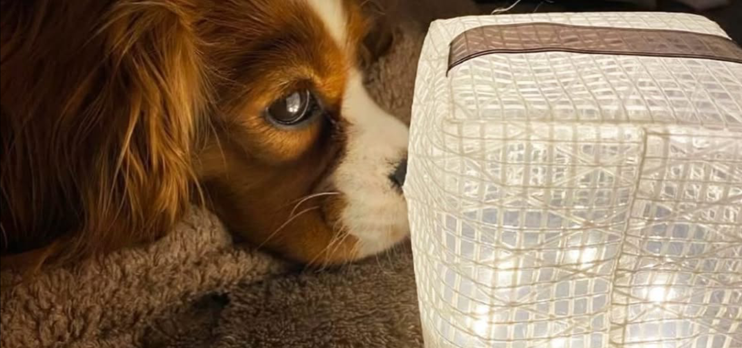 CARRY THE SUN® 公式ストア