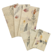 シャンペーパー封筒