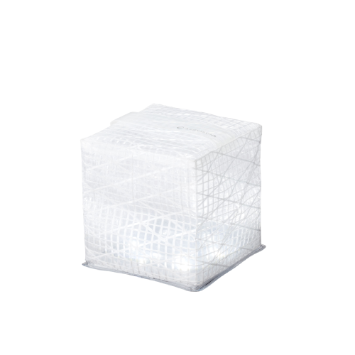 Small Cool Bright / White Belt