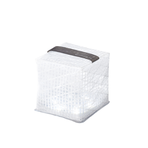 Small Cool Bright / Black Belt