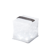 Small Cool Bright / Black Belt