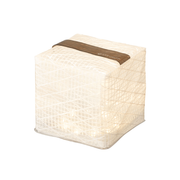 Medium Warm Light / Black Belt