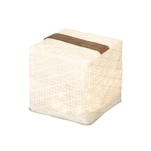 Medium Warm Light / Black Belt