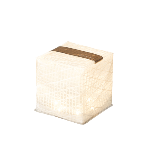 Small Warm Light / Black Belt