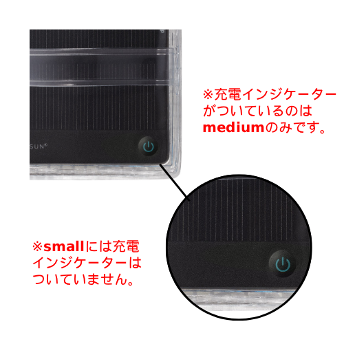 Small Cool Bright / Orange Belt