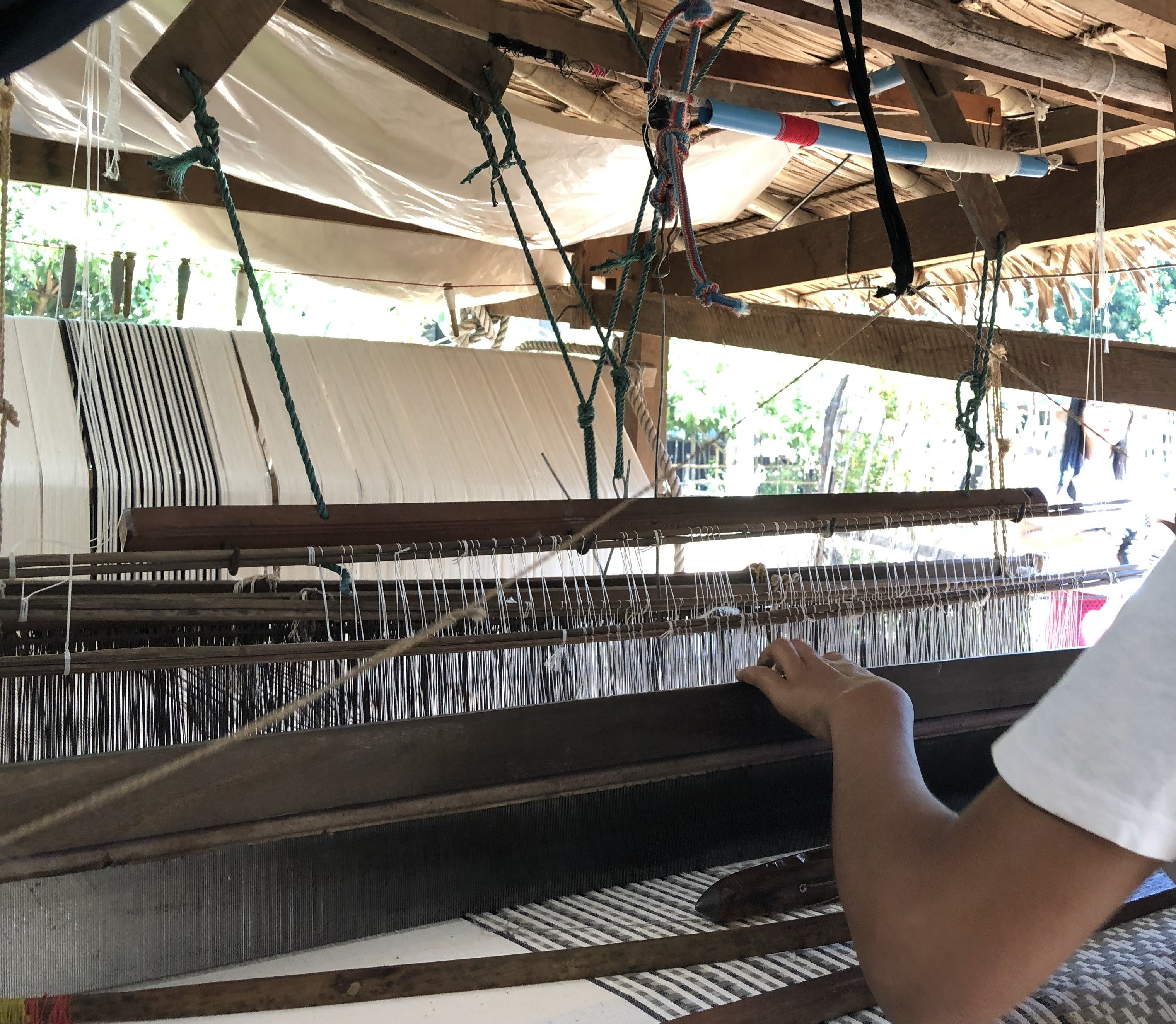 ミャンマー大地震支援