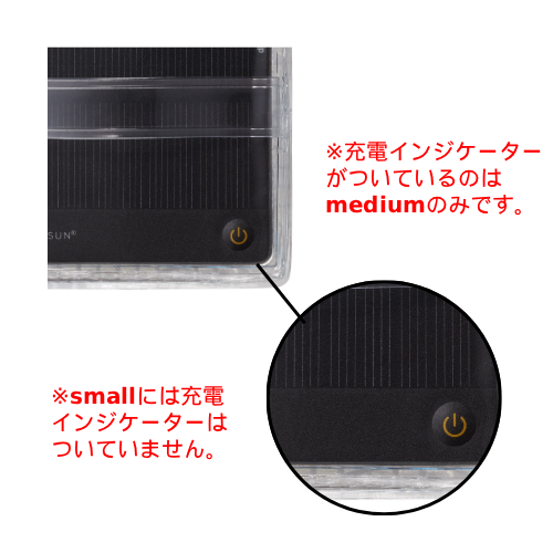 Small Warm Light / White Belt