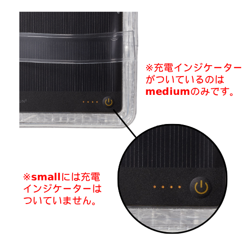 Medium Warm Light / Black Belt