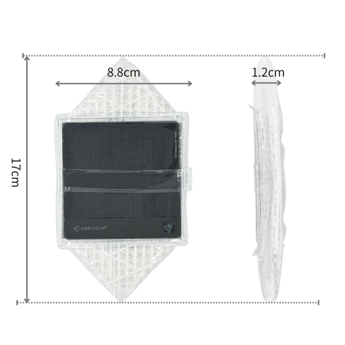 Small Cool Bright / White Belt
