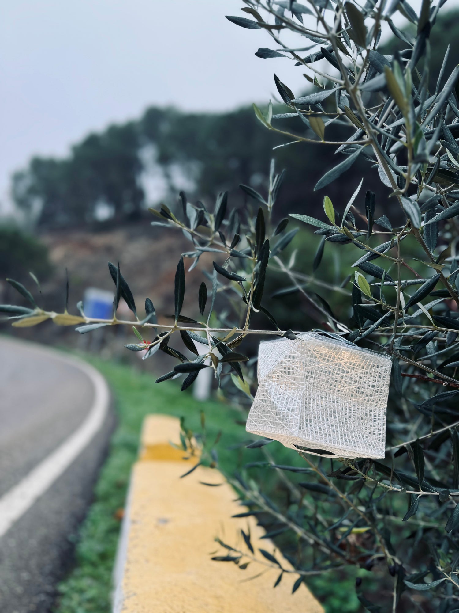 CARRY THE SUN® 公式ストア