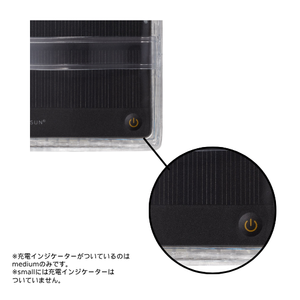 Small Warm Light / Black Belt
