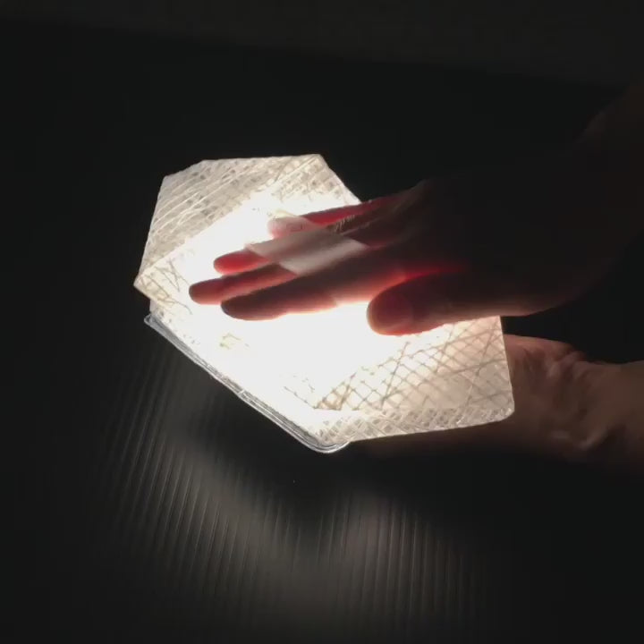 ビデオをロード: 